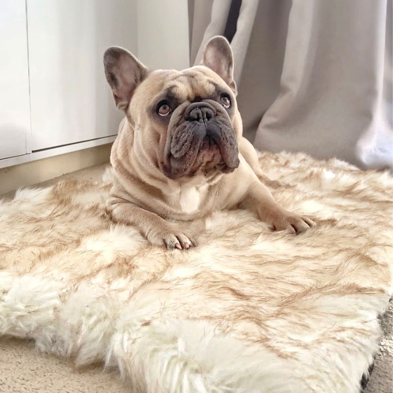 Memory Foam Faux Fur Rug Dog Bed