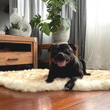 Memory Foam Faux Fur Rug Dog Bed