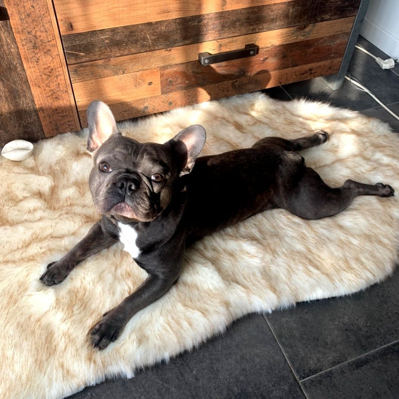 Dog clearance bed rug